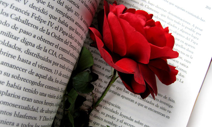 صور ورود بجودة عالية , صور ورود حلوة , احلى صور للورود 1 (7).jpg